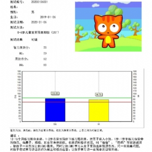 兒童智能發(fā)育篩查測驗(yàn)DST量表系統(tǒng)軟件及評估工具的使用